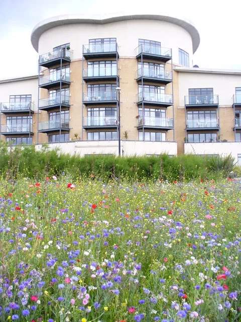 Breathing Easy: How Urban Wind Corridors Are Quietly Transforming Apartment Living